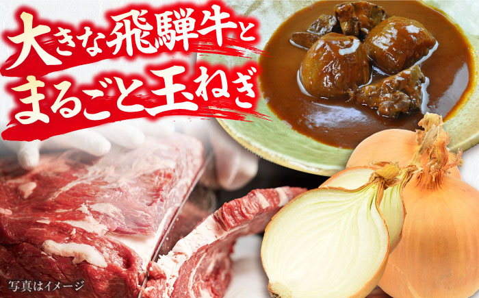 -あふひ 贅の極み- まるごと玉葱と飛騨牛のシチュー 2人前×5個セット / レトルトビーフシチュー 常温保存 時短 非常食 / 恵那市 / テンポイント [AUEU008]