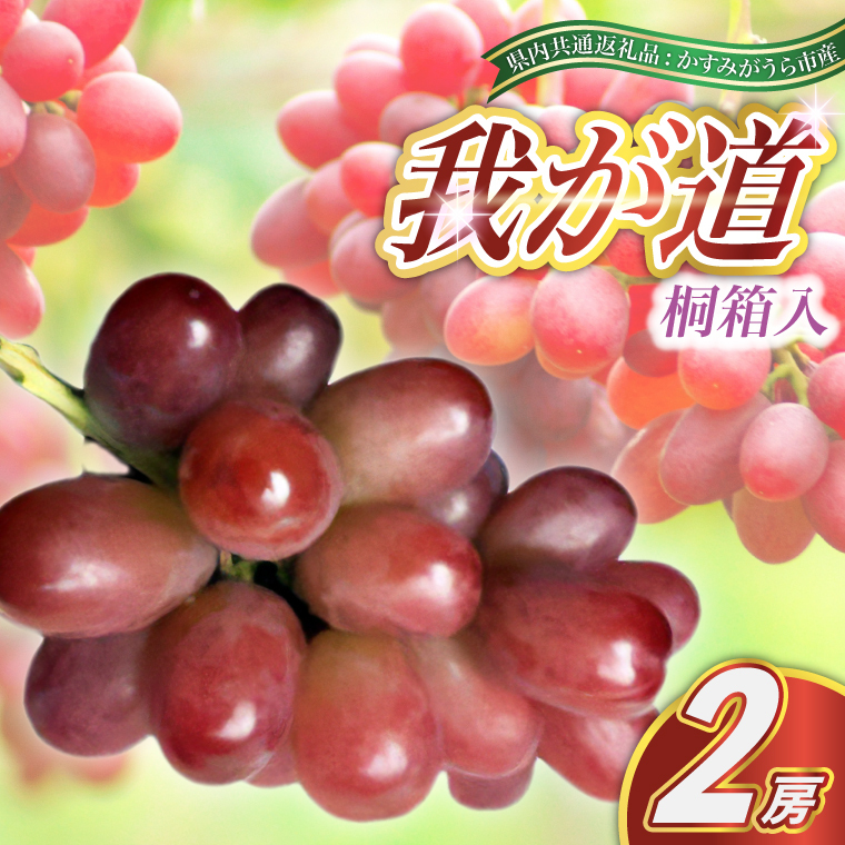 我が道 桐箱入り 2房 ＜2026年8月より順次発送予定＞ (県内共通返礼品:かすみがうら市産)  ギフト 贈答 フルーツ 果物 ぶどう(BR098)