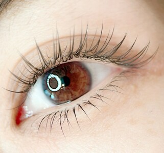 【 マツエク 】 LEDフラットラッシュ つけ放題 1回券