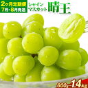 【ふるさと納税】【2ヶ月定期便】ぶどう シャインマスカット 晴王 600g 700g 1.2kg 1.4kg 1房 2房 ハレノフルーツ(アストライ)《7月上旬-8月末頃出荷》岡山県 浅口市 送料無料 フルーツ 果物 マスカット お取り寄せフルーツ【配送不可地域あり】