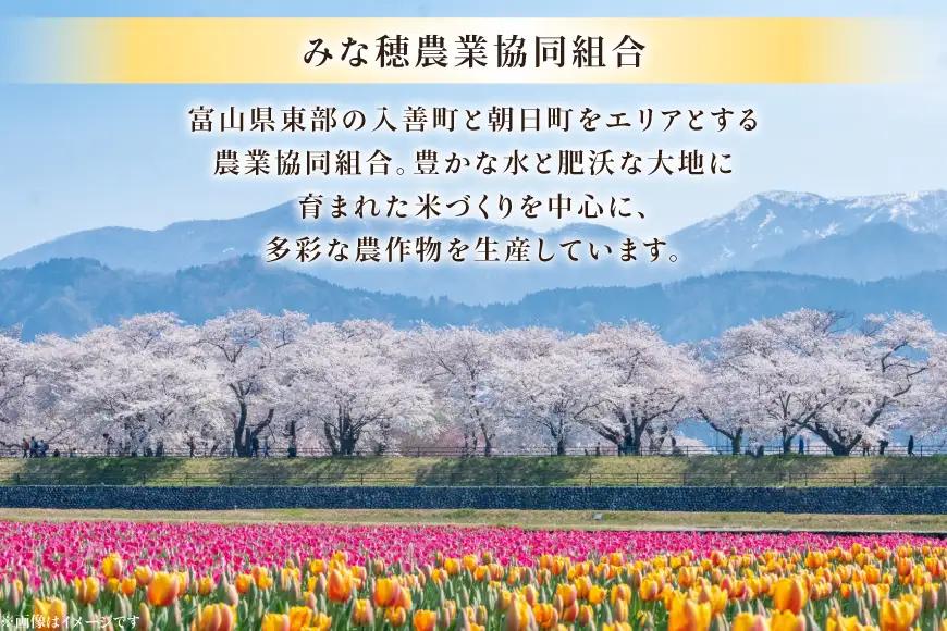 米 令和7年 コシヒカリ あいの風 精米 10kg 6回 定期便 総計60kg