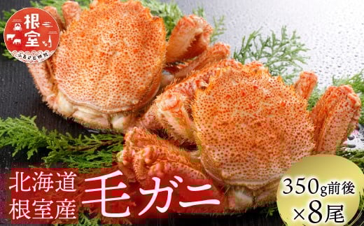 
            D-21005 【北海道根室産】毛がに350g前後×8尾
          