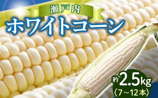 上品な甘さ 瀬戸内 ホワイトコーン 約2.5kg【2025-6月中旬～2025-7月中旬配送】