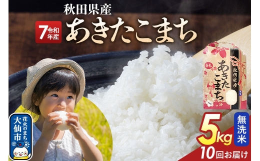 《定期便10ヶ月》【無洗米】あきたこまち 5kg 秋田県産 令和7年産  こまちライン 秋田県 大仙市産 [秋田 お米 米どころ あきたこまち こまちライン]