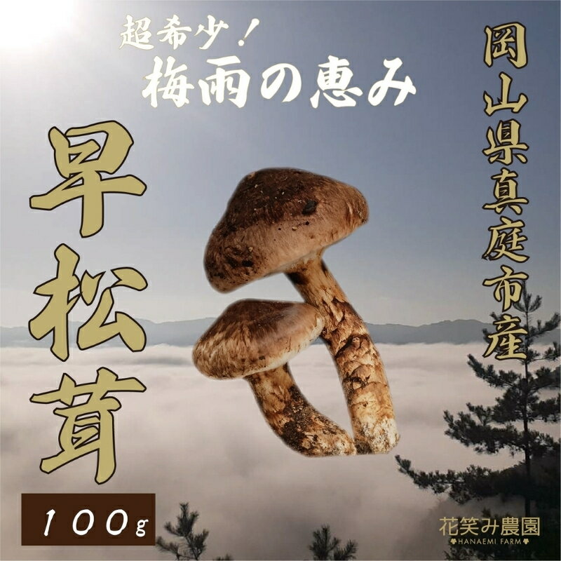 【ふるさと納税】 花笑み農園 超希少! 早『松茸』100g 〜梅雨の恵み〜（2025年6月～7月発送） hana76 国産 岡山県 真庭市 希少 産地直送 早松茸 天然物　さまつ　きのこ【1602132】