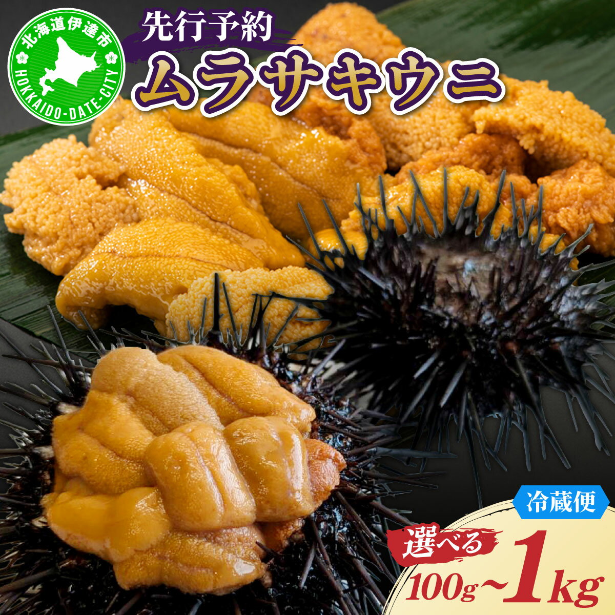 【ふるさと納税】【選べる内容量】＜先行予約＞ 北海道産 ムラサキウニ（正規品） 100g?1kg【ogm-027-sku】生うに 塩水うに ミョウバン不使用 海鮮 国産 北海道 伊達 ふるさと納税