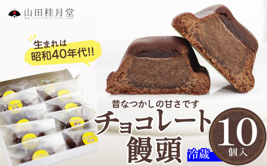 ＜山田桂月堂＞チョコレート饅頭　10個入り　40P5614