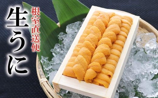 B-71019 エゾバフンウニ130g×1折[2026年2月下旬以降発送]