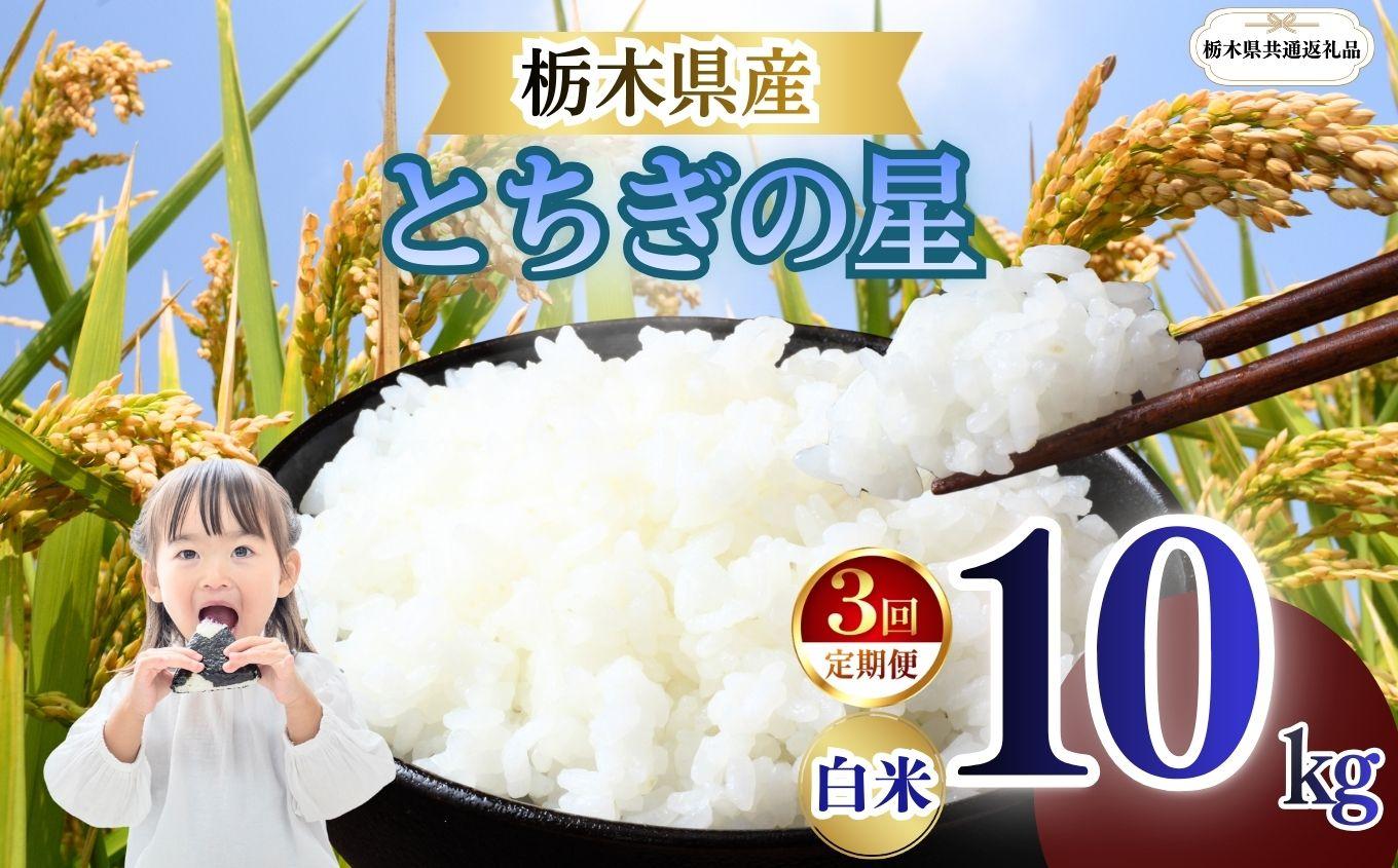 【定期便3回】栃木県産 とちぎの星 白米 10kg 2026年 先行予約 | 栃木県 矢板市