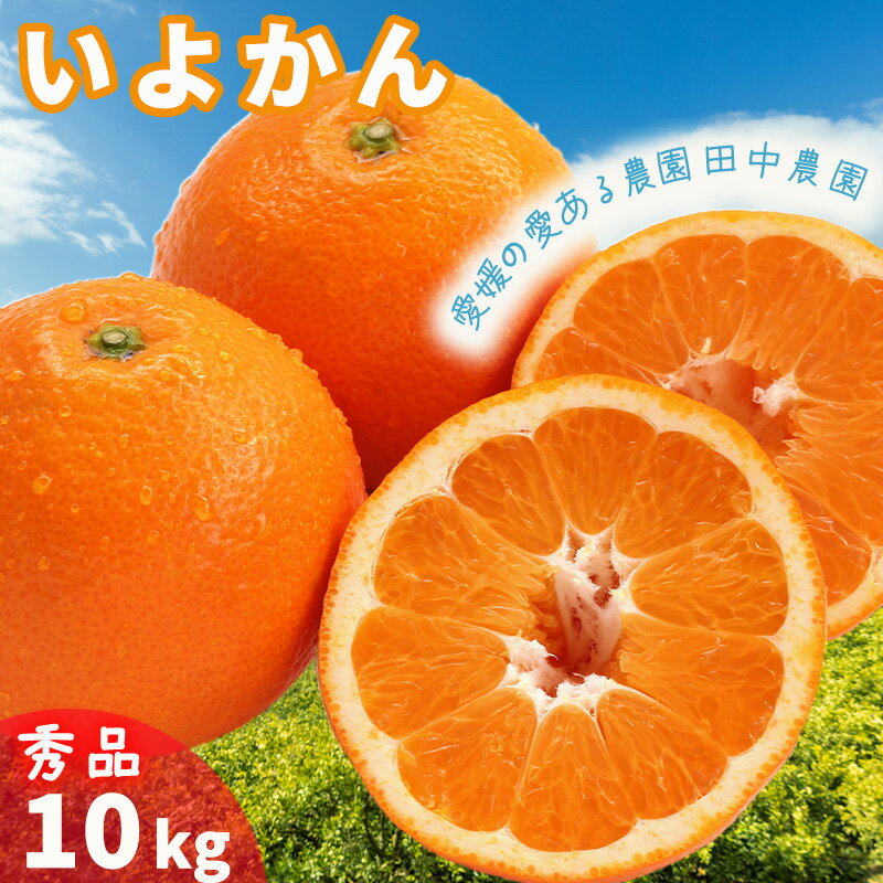 【ふるさと納税】 伊予柑 約10kg 秀品 【1月上旬から順次発送】（ 伊予柑 いよかん 約10kg 柑橘類 先行予約 フルーツ 柑橘類 先行予約 果物 フルーツ みかん イヨカン 宮内伊予柑 人気 おすすめ 愛媛 松山 田中農園 ）