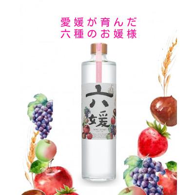 ふるさと納税 伊予市 道後ジン　六媛　500ml