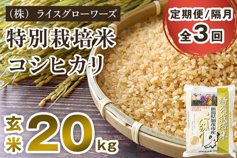 
                  【令和8年産新米先行予約】【定期便3回隔月お届け】特別栽培米 コシヒカリ 玄米 20kg（5kg×4）《10月上旬～順次出荷》 従来品種 従来コシヒカリ お米 米 （株）ライスグローワーズ 新潟県 加茂市産 定期便
                