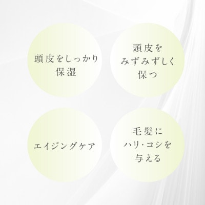 プテロ　ARシャンプー 300ml【1516148】