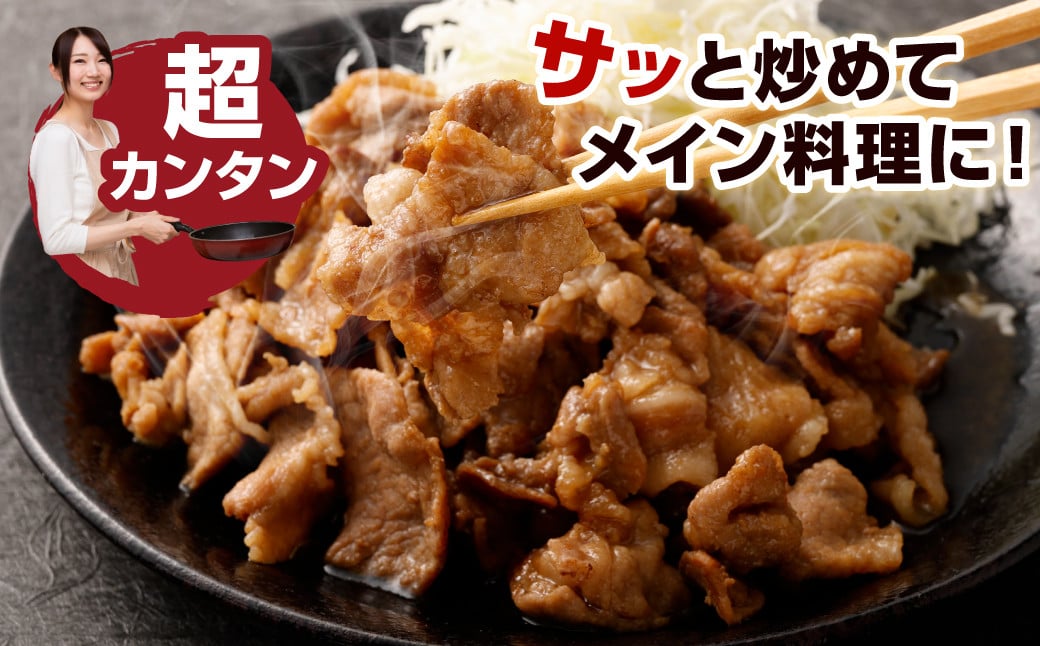 九州産豚 タレ漬け 合計1kg 500g×2袋 豚肉 小間切れ コマ切れ 肉 タレ 冷凍 豚 小分け 簡単調理 国産 九州産 熊本県 水俣市