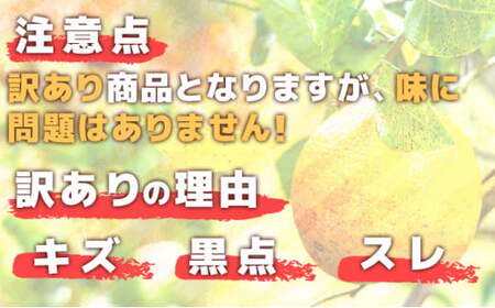 ＜先行予約＞牛が育てる！コクうまポンカン＜5kg＞Mサイズ　ko10 【小池農園】