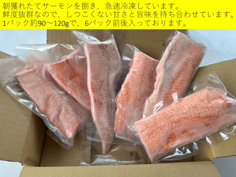 3月上旬配送　北海道　国産ドナルドサーモン(生食用)　800g 