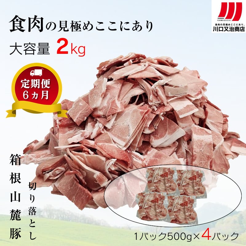 
【定期便６ヵ月】箱根山麓豚　モモ・ウデ切り落とし２K盛り(500ｇ×４パック)【 箱根山麓豚 切り落とし 神奈川県 小田原市 】
