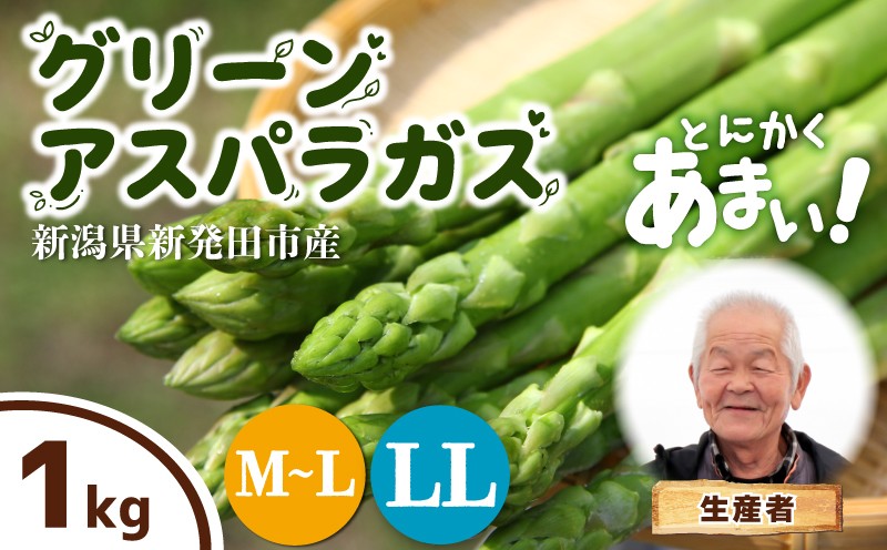 
                  【とにかく甘い！】 アスパラガス 選べる 太さ 1kg LL or M~L アスパラ 甘い 太い 柔らかい 新潟 新発田 朝採り 新鮮 野菜 グリーンアスパラガス グリーンタワー 春野菜 特産品 旬 肉 巻き 朝採れ 産地直送 農家 菅谷 新潟県 新発田市 蔵光グリーンファーム kuramitsu003P
                