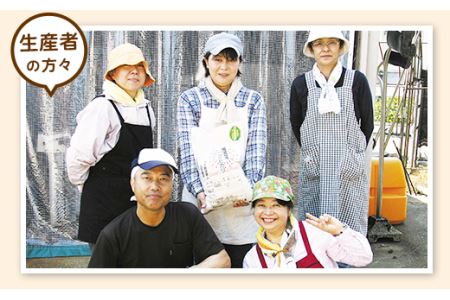 E1-05新潟県産米コシヒカリ10kg