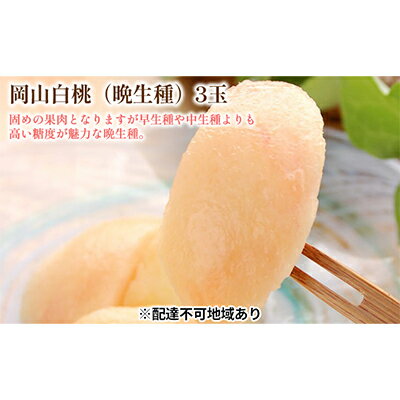 【ふるさと納税】固めの 桃 2026年 先行予約 白桃 晩生種 3玉 合計約900g （1玉約300g） もも モモ 岡山 国産 フルーツ 果物 ギフト 桃茂実苑　お届け：2026年8月上旬〜2026年8月下旬