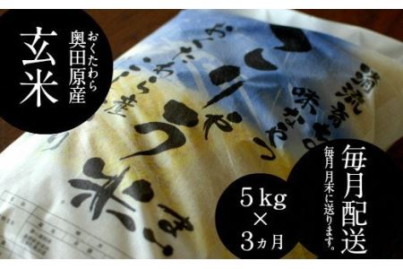 安来のお米【定期便】こりゃう米（まい）玄米 5kg×3回（毎月） 新米［令和6年産］コシヒカリ