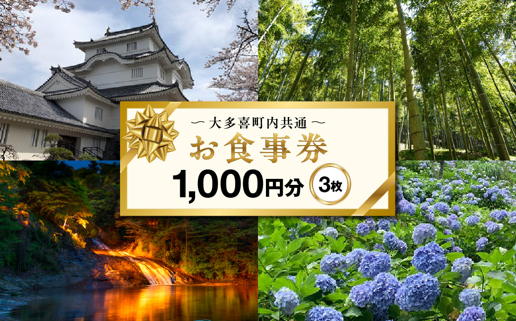 W01207    大多喜町内共通お食事券1000円分×３枚 