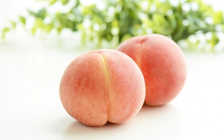 【予約受付】桃の王様 白鳳  特秀品 約2kg（6個~9個） 2025年6月末頃～2025年7月末頃に順次発送予定（お届け日指定不可）/ 桃 もも 白鳳 フルーツ 果物 くだもの 【kgr009】