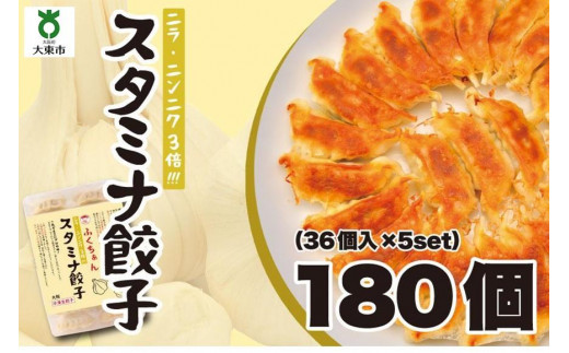 
【大阪名物】大阪ふくちぁんスタミナ餃子 冷凍生餃子 180個 ［36個入×5セット］
