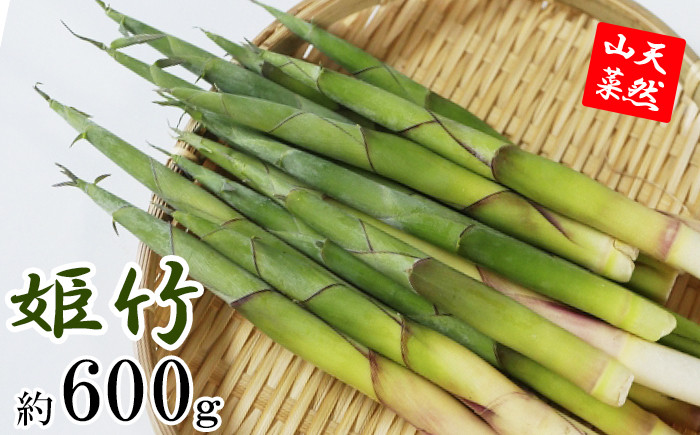 
【期間限定】 天然山菜 竹の子 約600g ／ じじちゃん 筍 たけのこ 姫竹 産地直送
