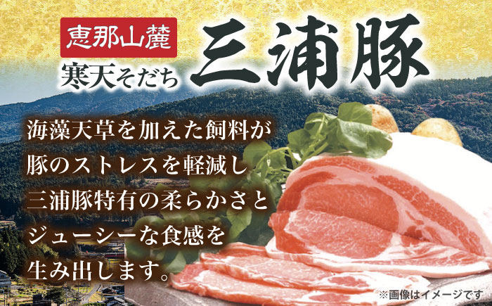 【3回定期便】 三浦豚 豚肉 ロース900ｇ（ステーキ/とんかつ用）/ ブランド豚 国産 ポーク とんかつ 恵那市 / あづま精肉店 [AUDL009]