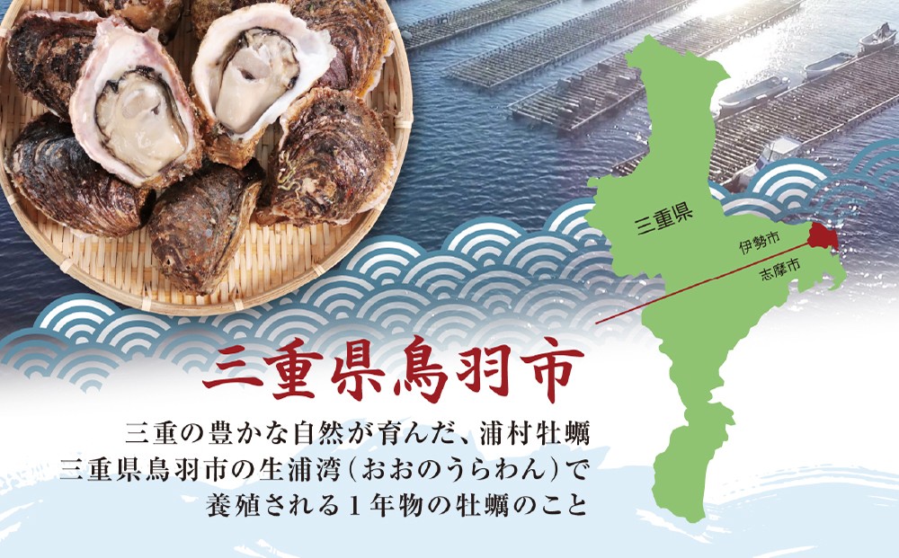鳥羽の綺麗な海で育った大福牡蠣 岩ガキ