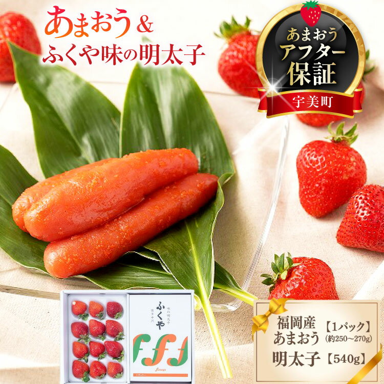 【ふるさと納税】【期間限定発送】 いちご 明太子 セット 福岡産あまおう 1p ふくや 味の明太子 540g [南国フルーツ 福岡県 宇美町 um40azo970019] 詰め合わせ イチゴ 苺 フルーツ 果実 甘い ふくや 辛子明太子 めんたいこ