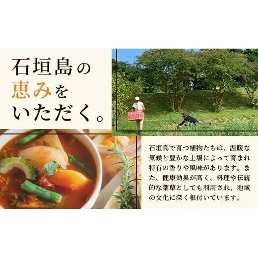 チャンプルの素　25g　瓶入×3本