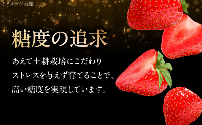 【贈答用にも】何もつけずにそのまま食べてみてほしい苺です。  2万円