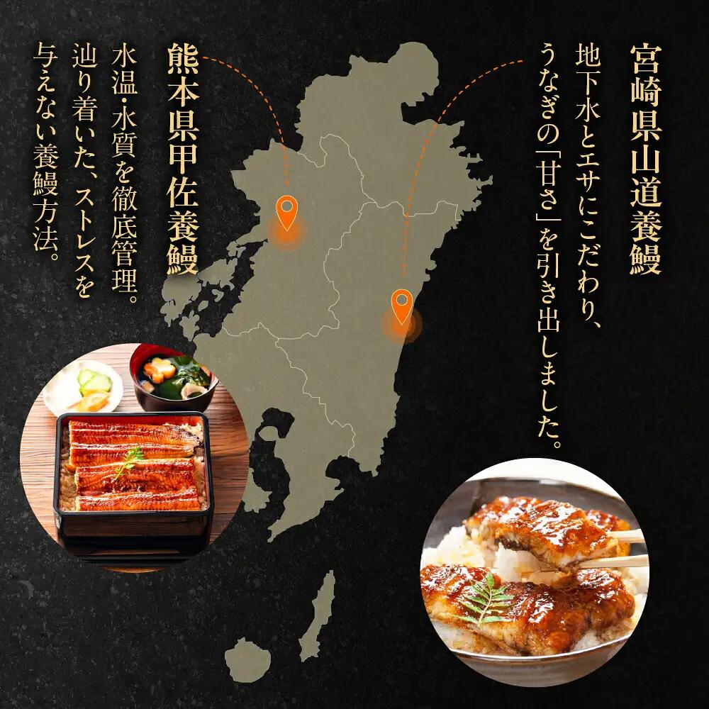 日本うなぎ巡り 定期便 12回 うなぎ