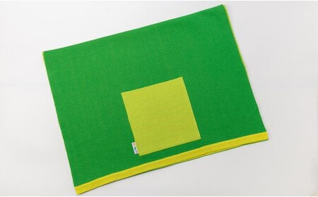 ストール CLEMATIS リバーシブル和紙ストール ( たたきポケット・グリーン ) レディース | 大判 ストール リバーシブル 和紙 おしゃれ シンプル マフラー 春夏 春 夏 新潟県 五泉市 