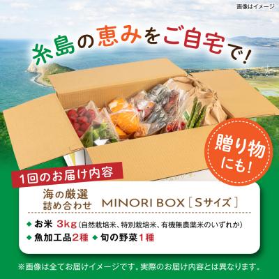 ふるさと納税 糸島市 全6回定期便 糸島産 魚 米 野菜 果物 厳選詰め合わせ MINORI BOX S [AOP021] |  | 03