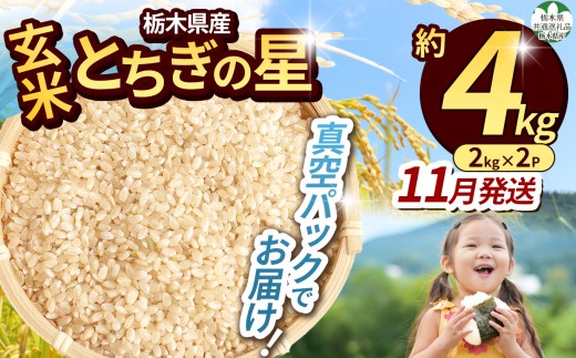 【栃木県共通返礼品】【令和8年度】栃木県産 とちぎの星 約4kg（玄米真空パック）11月発送 | 新米 okome kome お米 米 ご飯 飯 主食 日本 米 とちぎの星 玄米 米 ごはん  冷めてもおいしい ふるさと納税 那珂川町 栃木県 送料無料