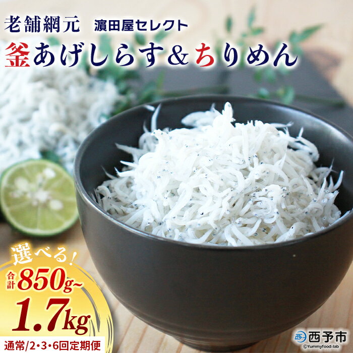 【ふるさと納税】＜老舗網元濱田屋セレクト 釜あげしらす＆ちりめん (合計850g/合計1.7kg) 配送回数：1～6回＞ 選べる 定期便 セット 詰合せ 釜揚げ シラス じゃこ 海鮮 海産物 小魚 乾物 国産 マルヨシ水産 特産品 愛媛県 西予市【冷凍】『通常：1か月以内に順次出荷予定』