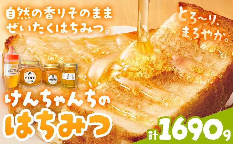 けんちゃんちの国産蜂蜜 全部セット《30日以内に出荷予定（土日祝除く）》| ふるさと納税 はちみつ ハチミツ 蜂蜜 国産蜂蜜 天然蜜蜂 徳島県 佐那河内村 送料無料
