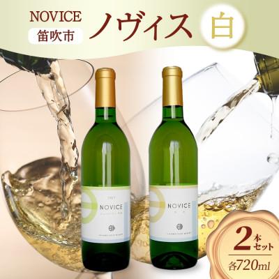 ふるさと納税 笛吹市 白ワイン NOVICE(ノヴィス)甲州 2種 2本セット 日川中央葡萄酒 山梨県笛吹市