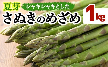 ＜期間限定！2026年6月上旬以降順次発送＞夏芽！さぬきのめざめ アスパラガス(約1kg) 香川県 国産 野菜 アスパラ 新鮮 冷蔵便 【man084-A】【Aglio nero】