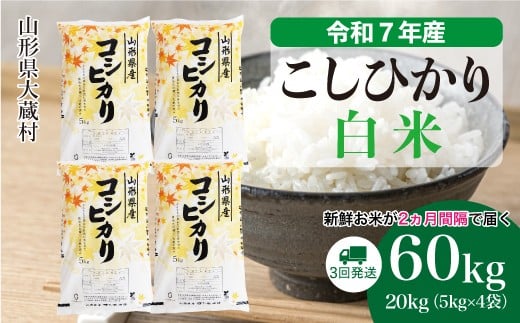 ＜令和7年産米＞ こしひかり 【白米】 定期便 60kg （20kg×２ヶ月間隔で3回お届け）＜配送時期選べます＞