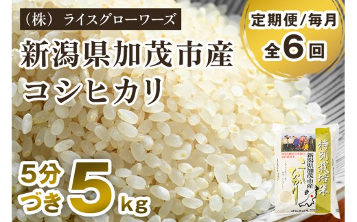 【令和8年産新米先行予約】【定期便6ヶ月毎月お届け】5分づき 特別栽培米 コシヒカリ 精米5kg《10月上旬～順次出荷》 従来品種コシヒカリ （株）ライスグローワーズ 新潟県 加茂市産 白米 米 お米 定期便