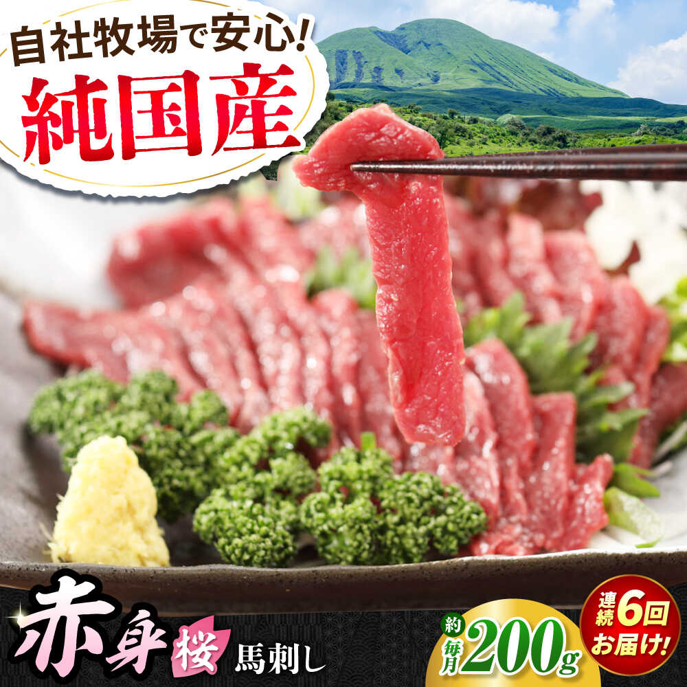 【ふるさと納税】【全6回定期便】『純国産』熊本の味「桜」赤身 馬刺し スライス 約200g タレ付【有限会社 九州食肉産業】[AYCN078]