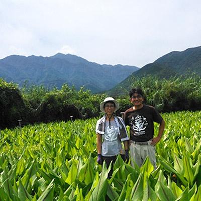 ふるさと納税 屋久島町 屋久島ウコンプレミアム　15g(約100粒)×1個 |  | 01