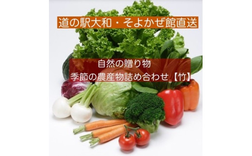 
            【セット】自然の贈り物　季節の農産物詰め合わせ『竹』野菜・果物他8品程度
          