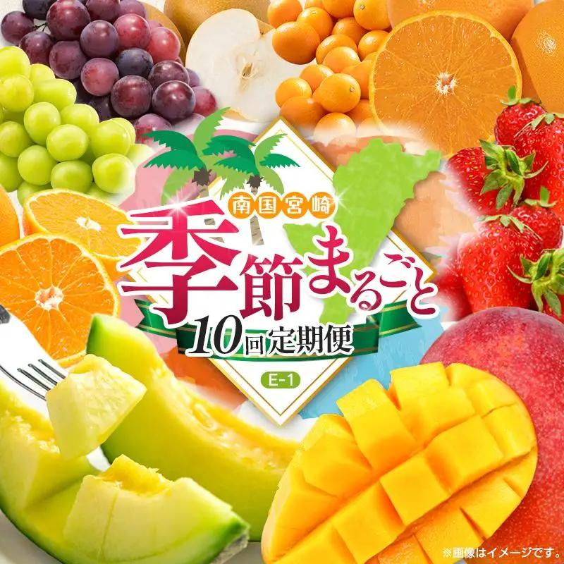 【10回定期便】旬 人気 フルーツ 南国宮崎産 太陽のタマゴ 金柑たまたまエクセレント シャインマスカット ピオーネ いちご みかん 梨 メロン 柑橘 マンゴー きんかん たまたま ぶどう 果物 詰め合わせ 宮崎県 九州＜E-1コース M500＞