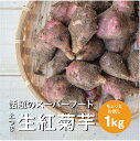 【ふるさと納税】生紅菊芋 約1kg フランス種 土つき 11月上旬～2月下旬頃お届け ※着日指定不可 東北 山形県 遊佐町 庄内地方 秋 冬 まえむき。