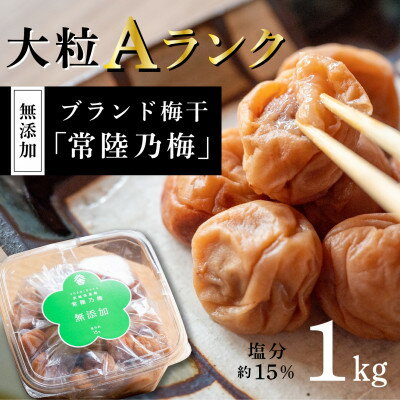 【ふるさと納税】『常陸乃梅』　大粒Aランク梅干し　1Kg　無添加　茨城県産【1386091】